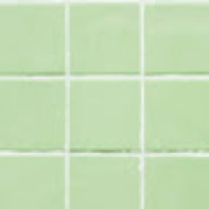 Meet your Posher, Tess